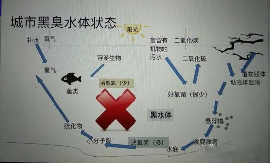 江蘇億元投資治污新技術(shù) 石墨烯能否治理黑臭水體？