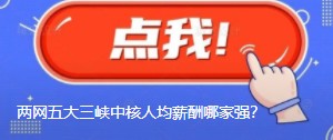國網南網華能大唐國家能源三峽中核人均薪酬哪家強？