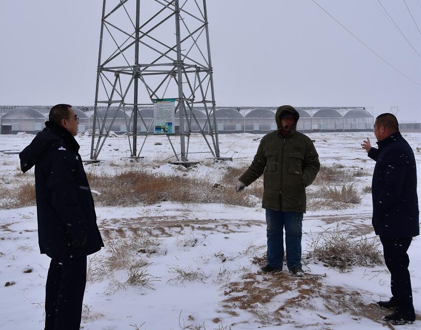 二連浩特供電公司：開展客戶側(cè)安全檢查，確?？诎犊蛻粝楹兔髁吝^春節(jié)