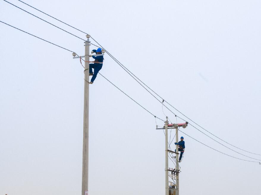 阿拉善供電公司：電網(wǎng)健康“體檢”，從登桿開始