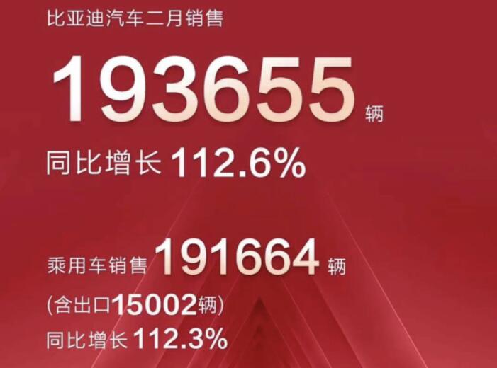 2月新能源車企成績單出爐，比亞迪一騎絕塵