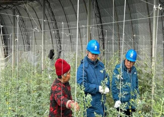 山東惠民供電公司：走訪種植大棚，優(yōu)化農(nóng)業(yè)營(yíng)商環(huán)境