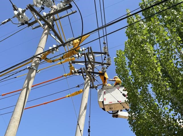 帶電作業(yè)除隱患，安全供電有保障
