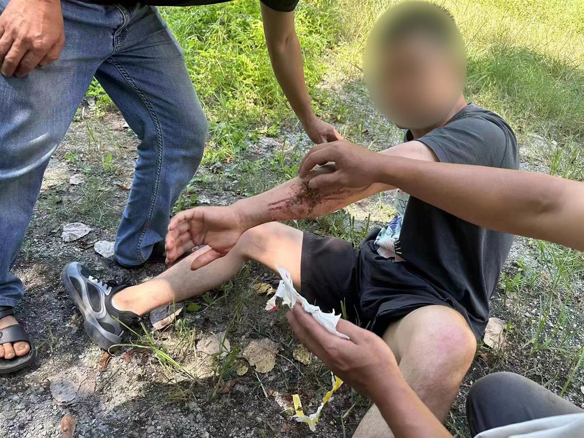男子私設(shè)電網(wǎng)30余米，沒捕獲獵物卻電傷路人被刑拘