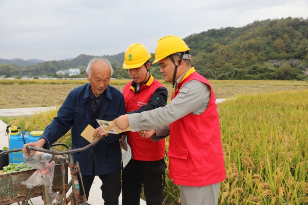 國(guó)網(wǎng)臺(tái)州市黃巖區(qū)供電公司：初冬巡線護(hù)豐收 為